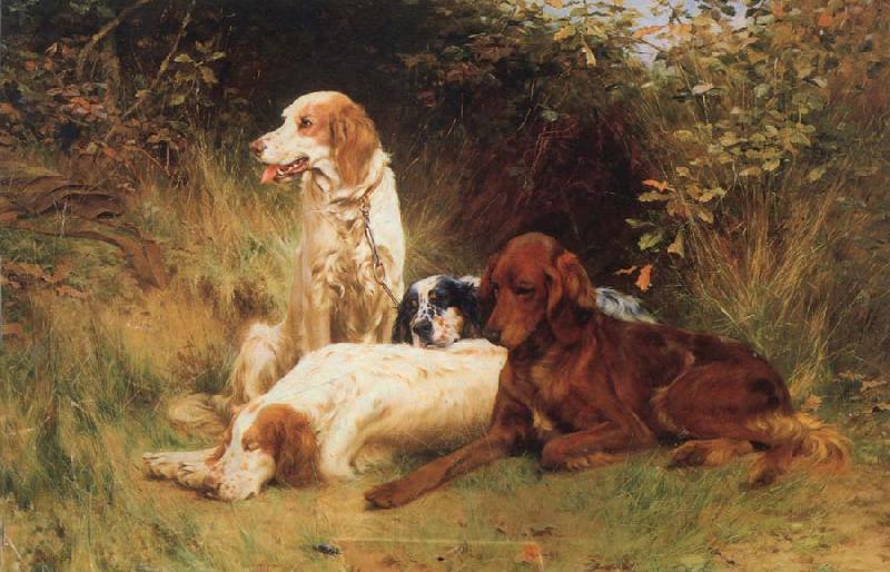 unknow artist Some Dogs France oil painting art